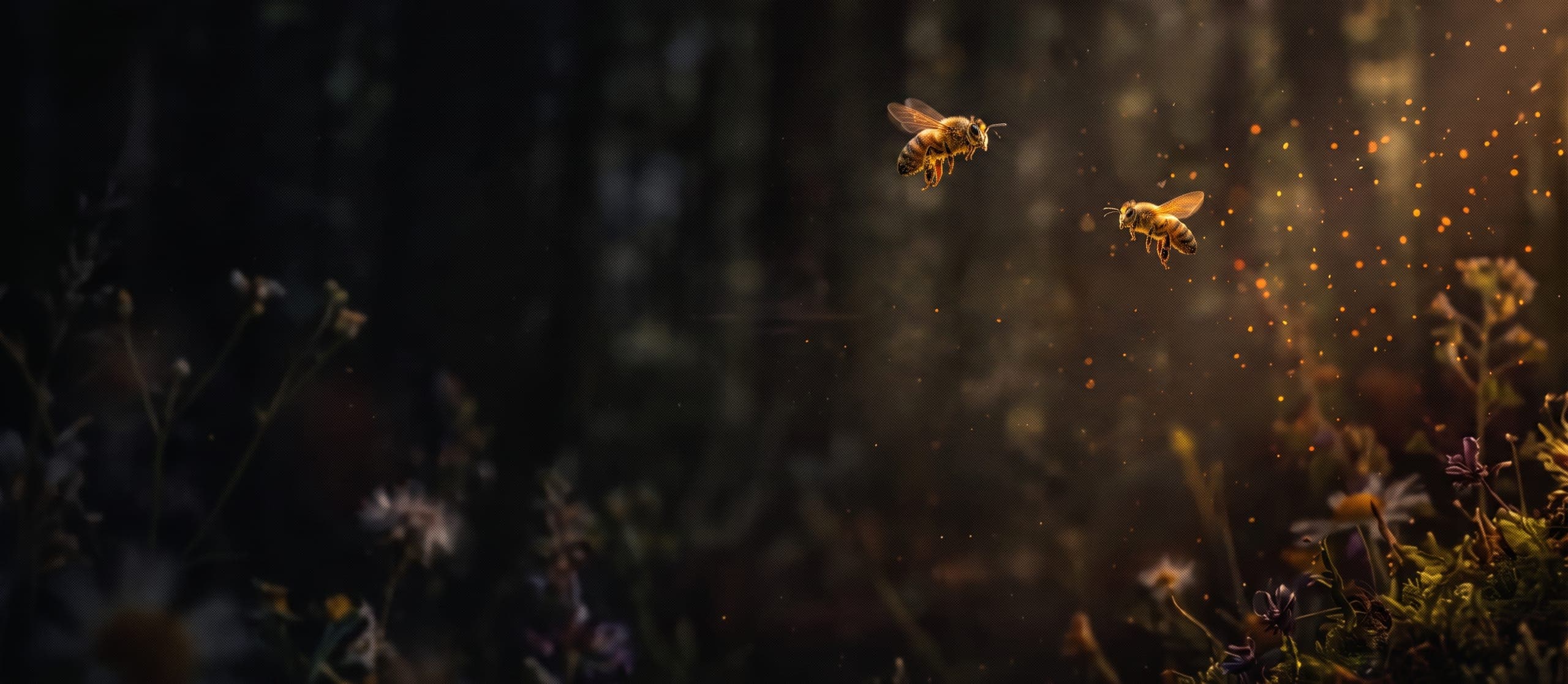 Honigbienen im Flug, von einem warmen Lichtstrahl durchleuchtete Flügel vor dunklem Waldhintergrund.
